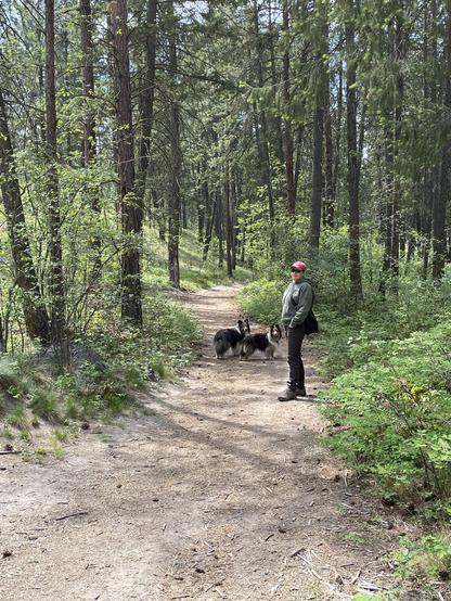 Posted media